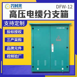 欧式高压电缆分支箱DFW-12/630不锈钢10kv户外分接箱