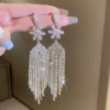 Shiny earrings, style