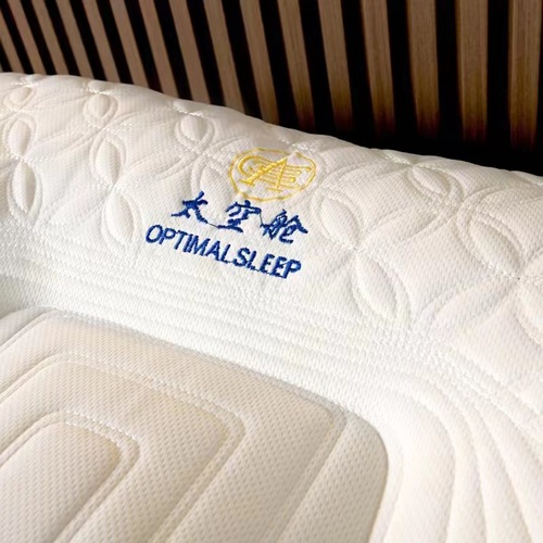 Spacecraft Pillow Core Adult Cervical Care Home Sleep Aid Dormitory-Specific Whole-Head Pillow