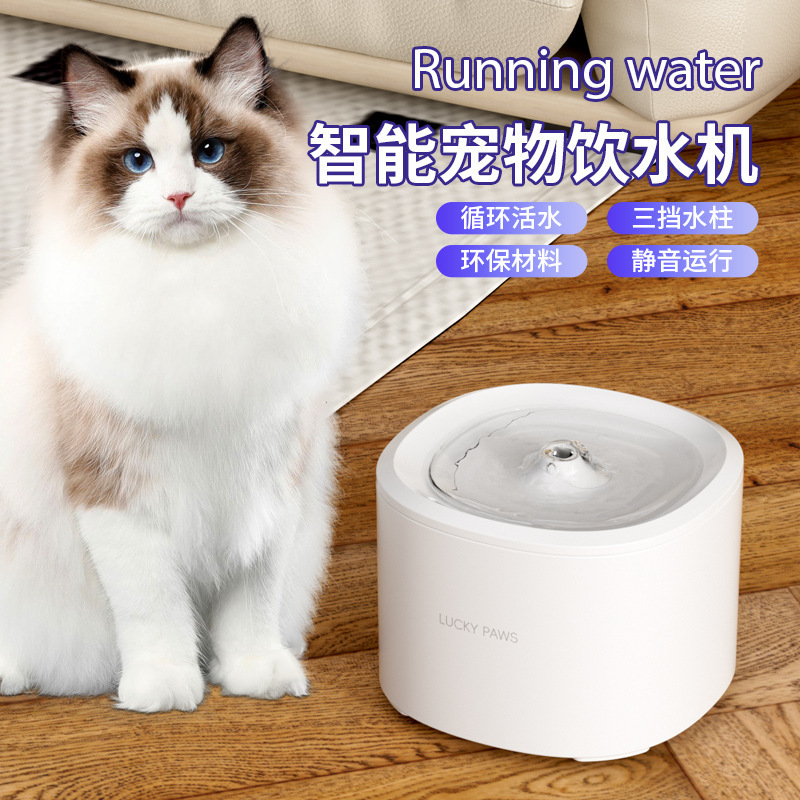 Cat water dispenser