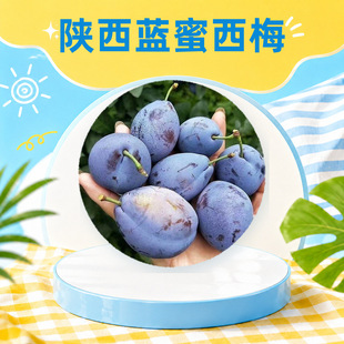 ���μ���{����÷ ���l���l1/3/5���֭������������������rˮ��