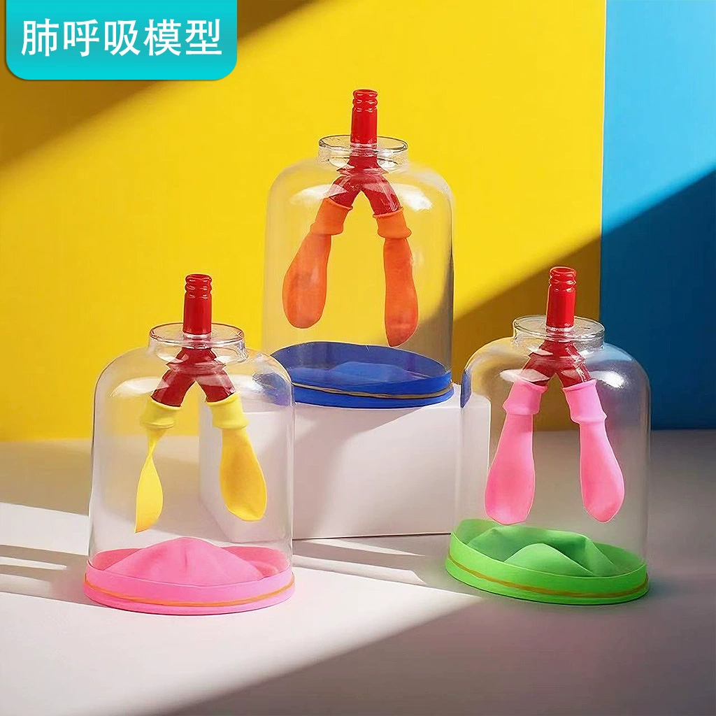 Модель дыхания легких, симулятор движения диафрагмы, материал для рукоделия, учебное пособие для биологических экспериментов для учащихся четвертого класса средней школы
