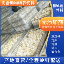 供应肉食动物饲料鳄鱼蛇狐狸特养饲料冷冻小鸡儿