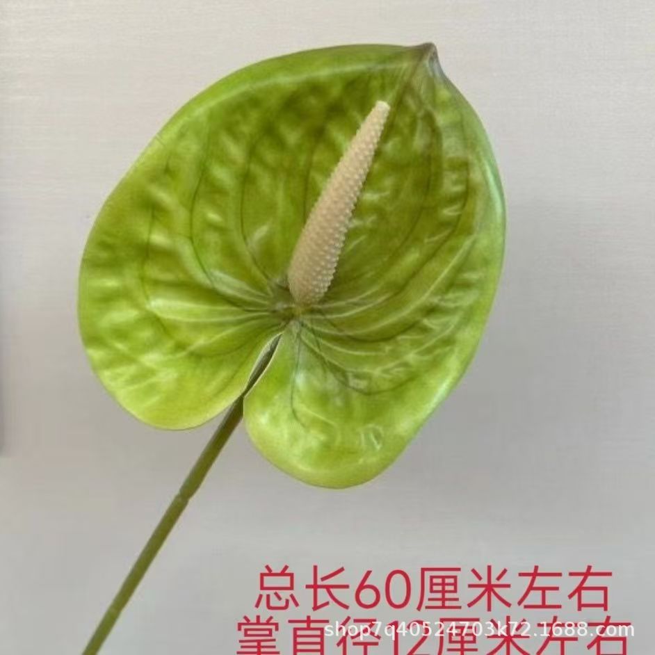 색상 4호