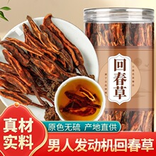 �ش�����ș����Ʒ500g���r��Ұ�����ϲ��ݾ���ˮ�Ȳ�Ĺ�Ч�c����