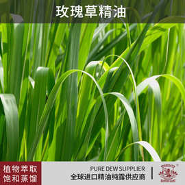 印度产区玫瑰草精油天然蒸馏提取美容院级护肤香薰芳疗油单方精油