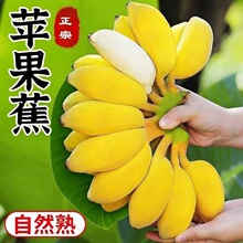 �����O����5����㽶���r��Ȼ�쮔��ˮ���۽�С�׽�����Fժ����