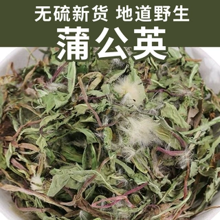 野生黄花蒲公英干草中药材现货批发正品产地货源干净无硫蒲公英茶