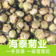 雪莲花茶 雪莲花茶品牌 图片 价格 雪莲花茶批发 阿里巴巴