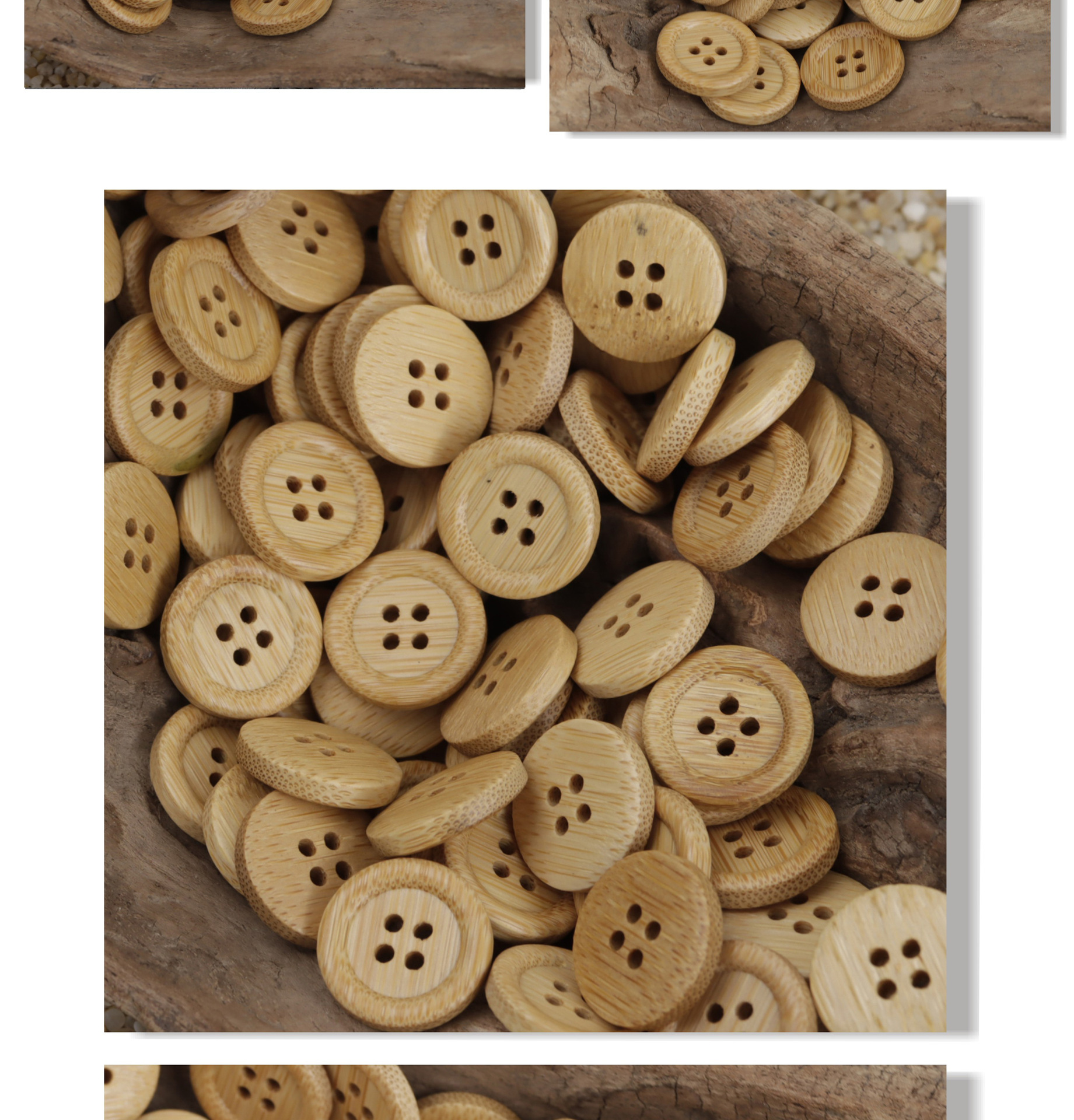 Bamboo_06.jpg