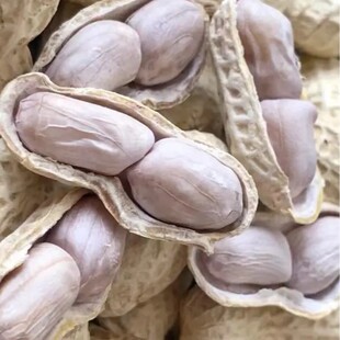 ���һ���ˮ��ו��ִ������������㎧�������Թ���؛�}���خa