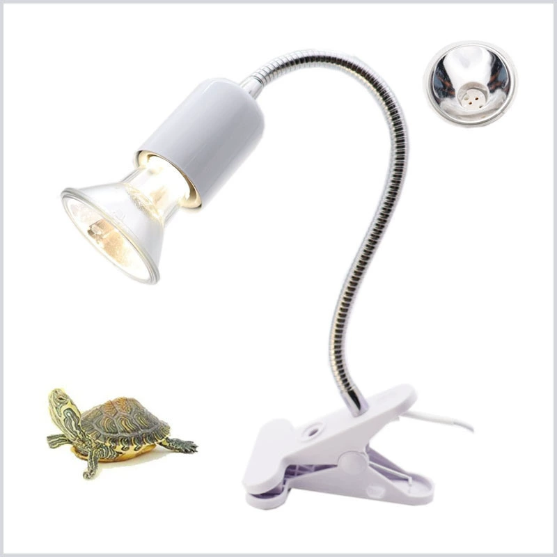 Ampoule remplaçable halogène, tasse lampe, Ampoule de chauffage, lampe arrière tortue, lampe d’isolation, lampe de chauffage