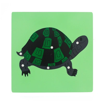 Brainteaser Montessori, teaching aids, professional smart toy
