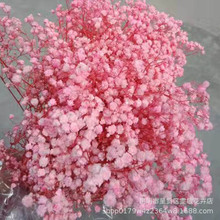 A级永生满天星批发满天星花束跨境专供亚马逊 永生满天星亚马逊