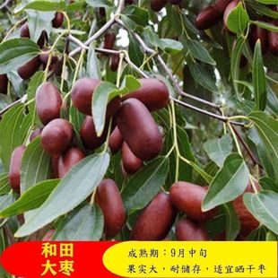 ��������ش�޽������������糬���̨ͥԺ�e���Ϙ����Ե����ͺ�