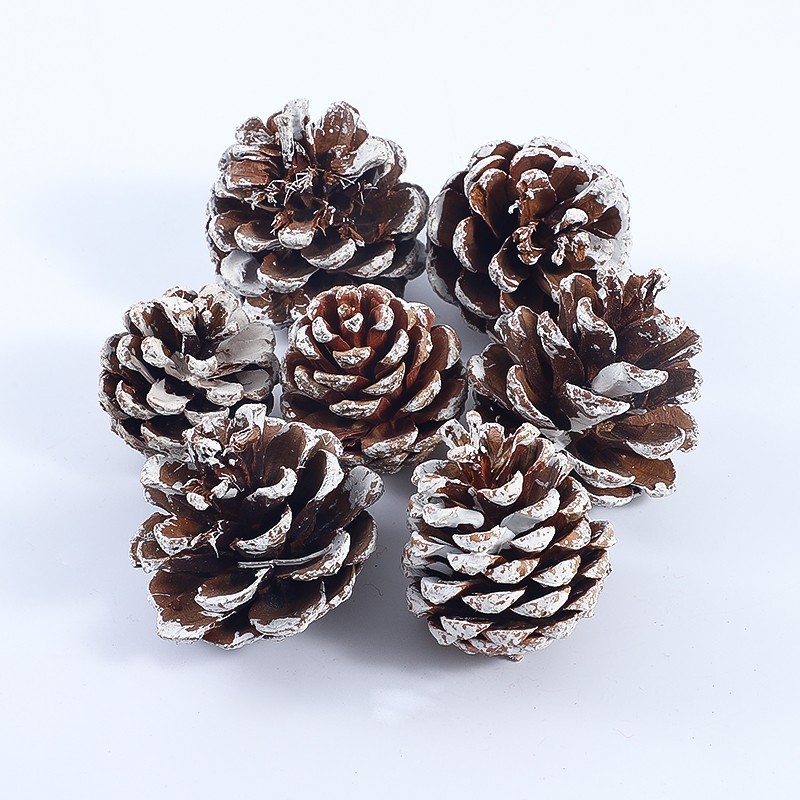 Sitio de Navidad de pinos de siete colores decoración paquete creativo de manzana material de decoración accesorios adornos embalaje de flores