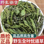 野山忧遁草500g纯叶子优盾草优遁草黎王草鳄嘴花优顿草真货好