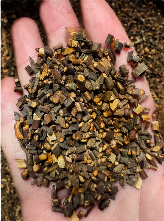 Dried Cassia Twig Gui Zhi Tips 1000g Bag Culinary Herb from Guangxi quality and texture