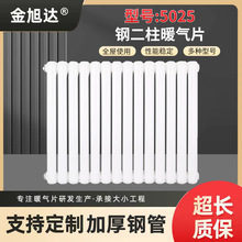 家装暖气片钢二柱散热器家用壁挂式钢制5025立式水暖低碳钢散热片