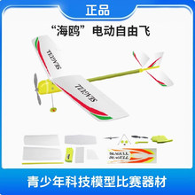 ���t 늄������w ��ģ ��ِ�� ����C ��ƴ�b �דp �����