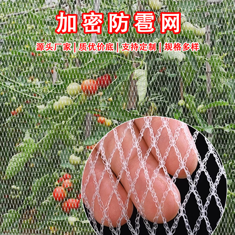 厂家直销防鸟神器无结网果园防雹网防鸟网经久耐用果园防护网|undefined