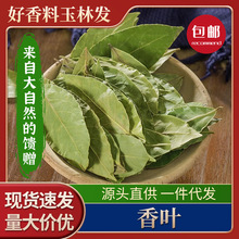 卤味香叶干货净重发货新鲜调料广西香料批发调味料卤水