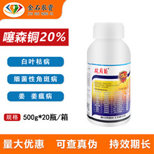 ʩؐ��20%��ɭ�~���Ϸ�����ݲ����~�ݲ�ܛ�������������������