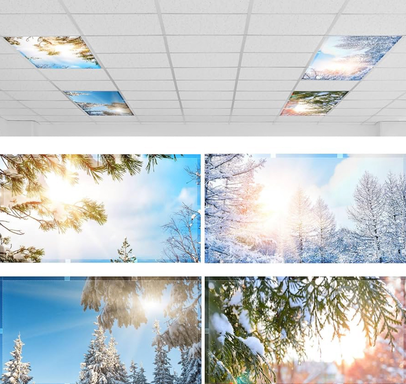 레이양나무 조합 단일 가격/맞춤 제작 필요(121*61)