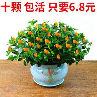 ���~���m���Ի���ĵ��ǧ�~�ڼt���m�����ٽ���߅���m�҃ȾGֲ����