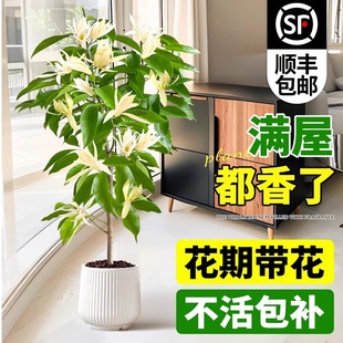 ���m������玧�����S���m�����ļ��_���ܴ��������m������Gֲ��