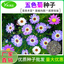 ɫշNļ׷N_ͥԺ̨׻N^