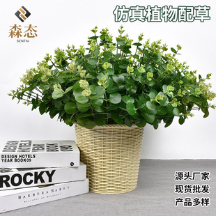 ����ֲ����ݰ������X�~�����Gֲ��������m�~�b�����С��ֲ��