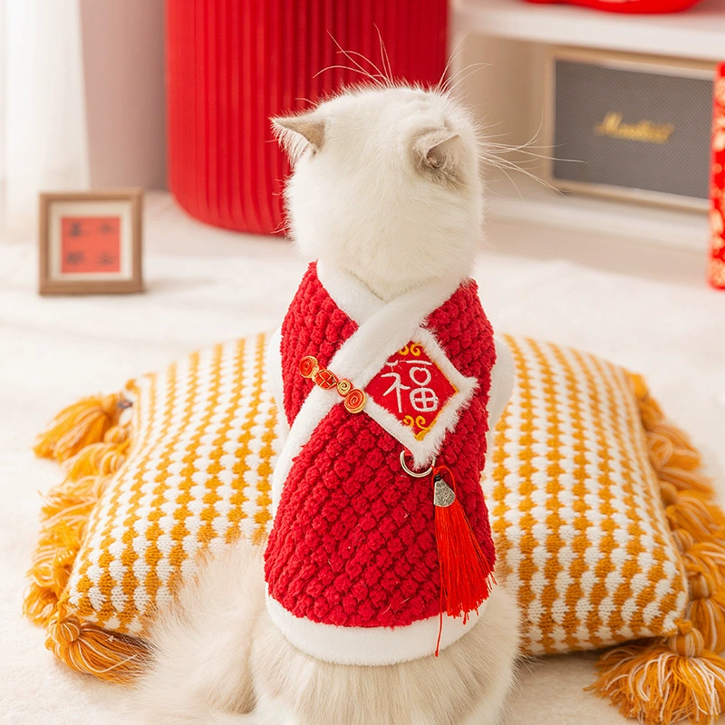 Зимняя кошачья одежда благословила ананас