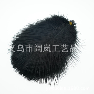 ��20֧/����15-20cm�r�B��ë��c��ë ��ɫ���x �m�����Q���