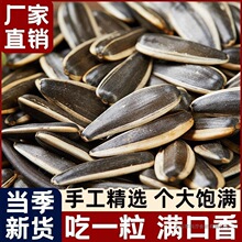 葵花籽农户内蒙直发新鲜原味大颗粒壳新货生熟葵花籽瓜子361品种