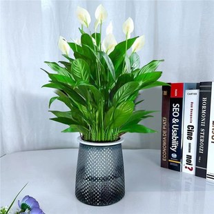 ���������׻�һ���L�ˮ��ֲ���k���҃Ȼ��ܾGֲ�t��ˮ�B�ļ��_��