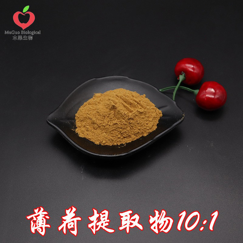 薄荷提取物10:1 木果生物 薄荷浓缩粉 薄荷粉 薄荷萃取 现货包邮