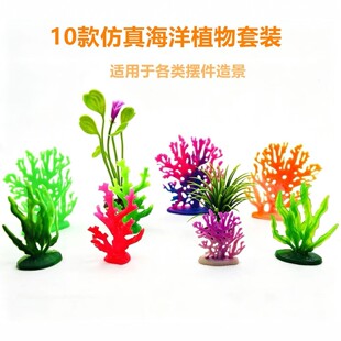 10����溣��ֲ�����b΢���^ɺ��ˮ���쾰�[���������}DIY�ֹ���