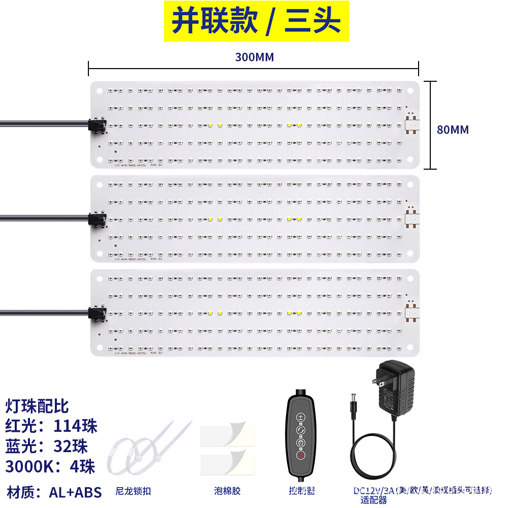빨간색과 파란색 빛 - 미국 표준 - 머리 3개