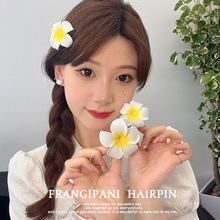 沙滩海边头花鸡蛋花发夹旅游渡假景区佳品新娘头饰发饰批发自然风