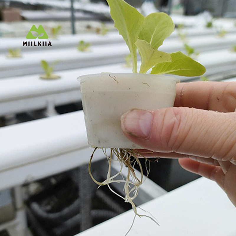 Tubo hidropónico NFT de PVC de doble capa, hueco, blanco y negro, de 100*80 mm, para cultivo de frutas y verduras sin suelo.