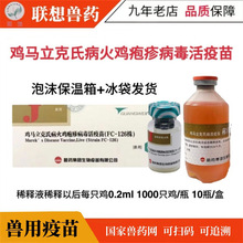 С�u�R�������� С�u����  �������� �R��������С�u����ʹ����ș