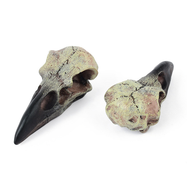 skull