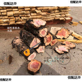 红心香柏木刺柏 龙柏圆柏 柏木桧木原木料 原木欣赏摆件木料