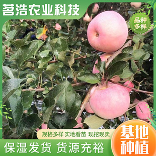 �O�������Ϸ������Nֲ����Y���޽��O���簫�����Ե����ش��O����