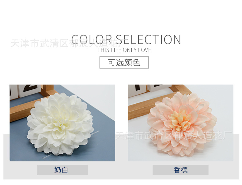 详情_02.jpg