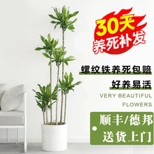 �ݼy�Fֲ��������p���҃��̨�����ļ�������B�����ߑ���