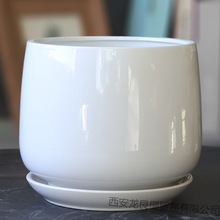 ش̖ɫմɎбPmG}]؃r}؊W