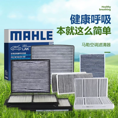 Automobile filter element Corolla Camry Ralink Vichy Zhixuan