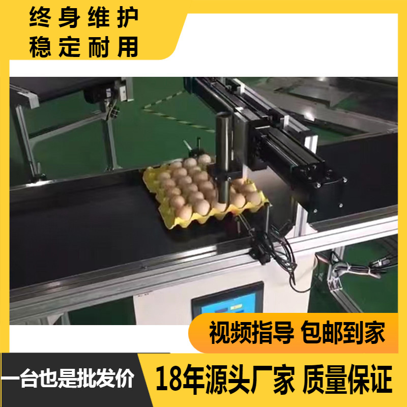 全自动喷码机鸡蛋打码生产流水线 输送带 传输带